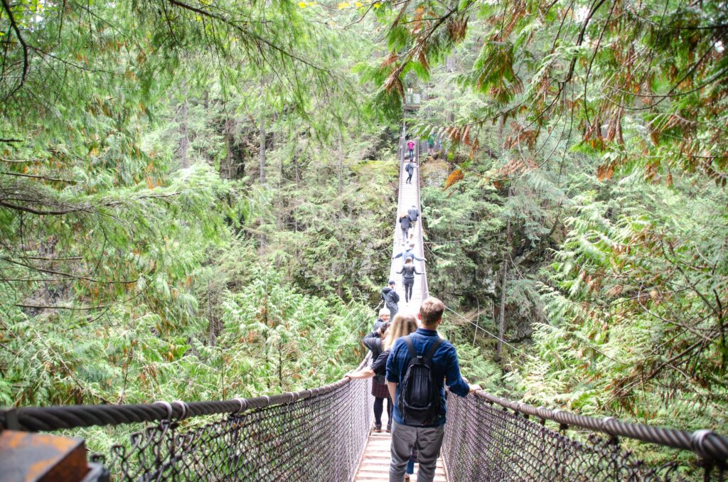 Lynn Canyon