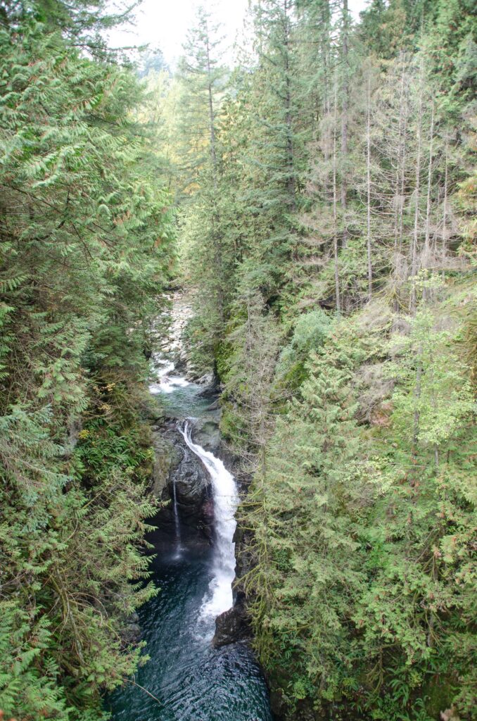 Lynn Canyon