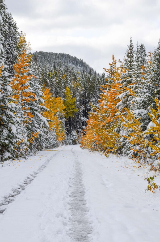 Banff National Park