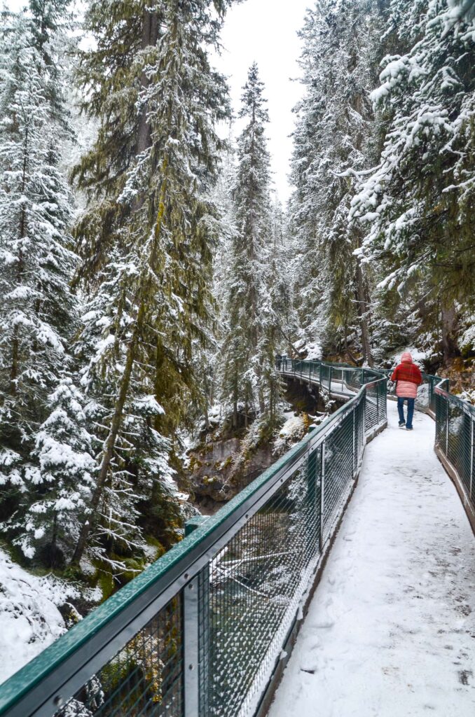 Banff National Park
