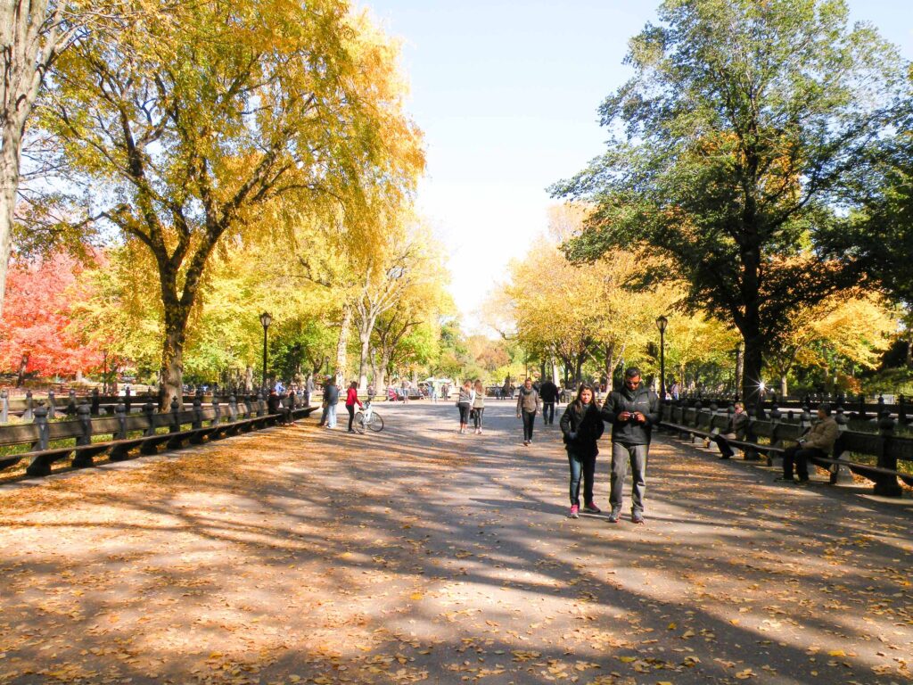 Central Park