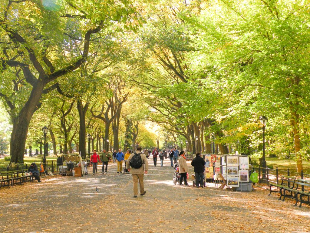 Central Park
