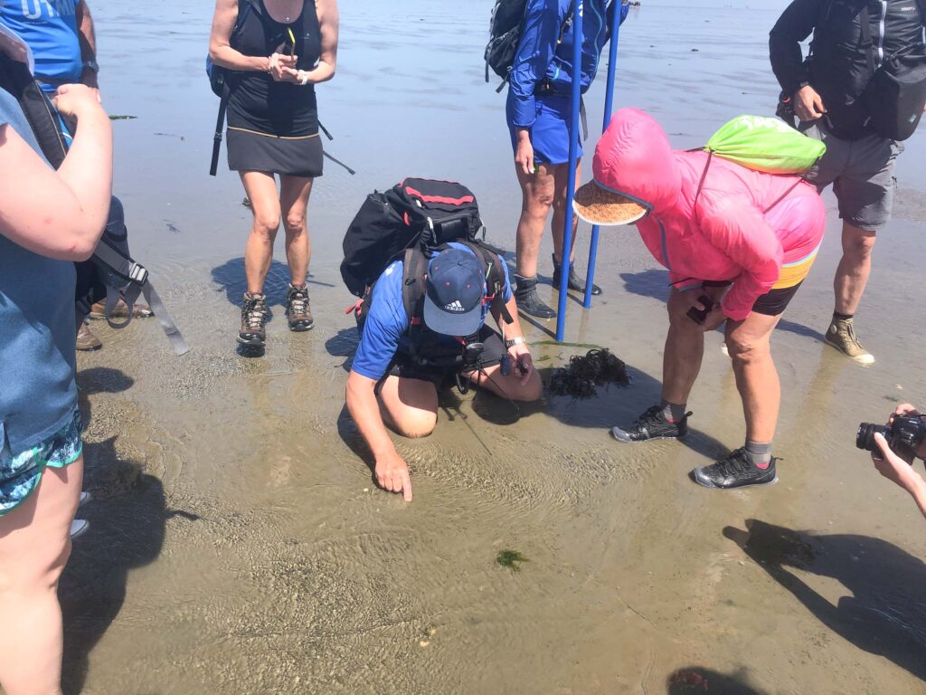 Tips voor je eerste keer wadlopen naar Schiermonnikoog - Your Travel Guide