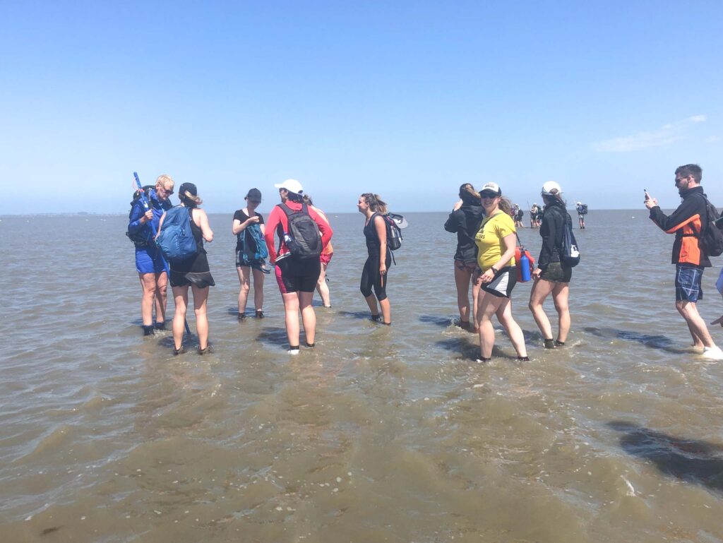 Tips voor je eerste keer wadlopen naar Schiermonnikoog - Your Travel Guide