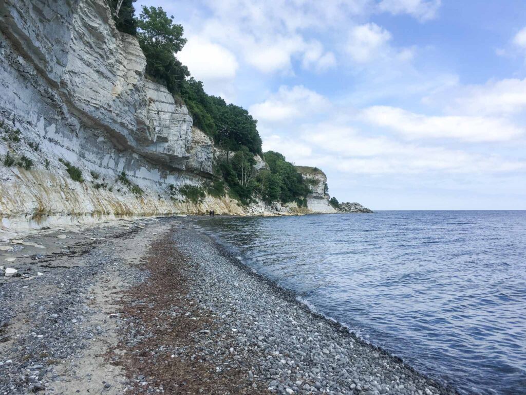 Stevns Klint krijtrotsen