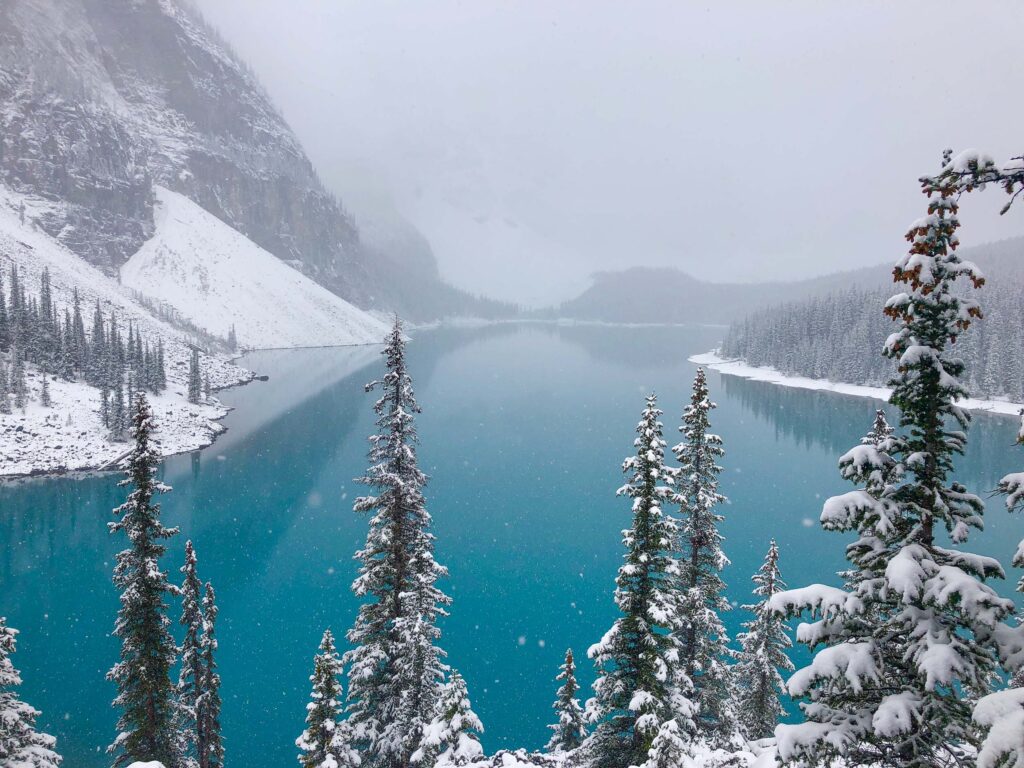 Moraine Louise