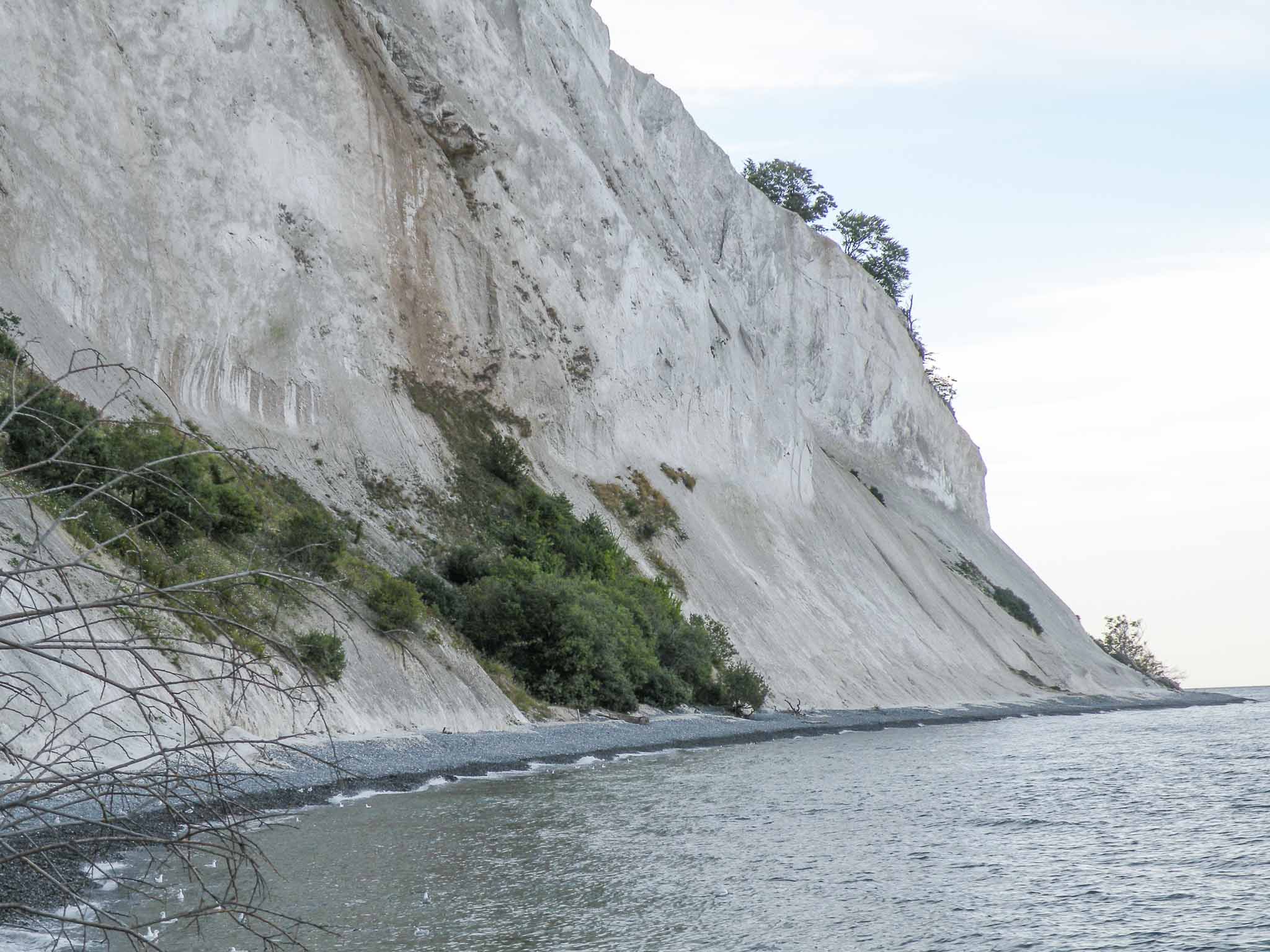 De krijtrotsen van Møns Klint in Denemarken