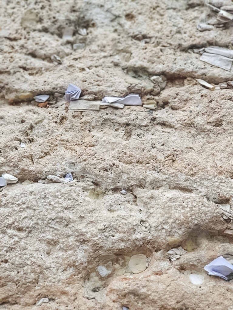 Alleen naar Tel Aviv