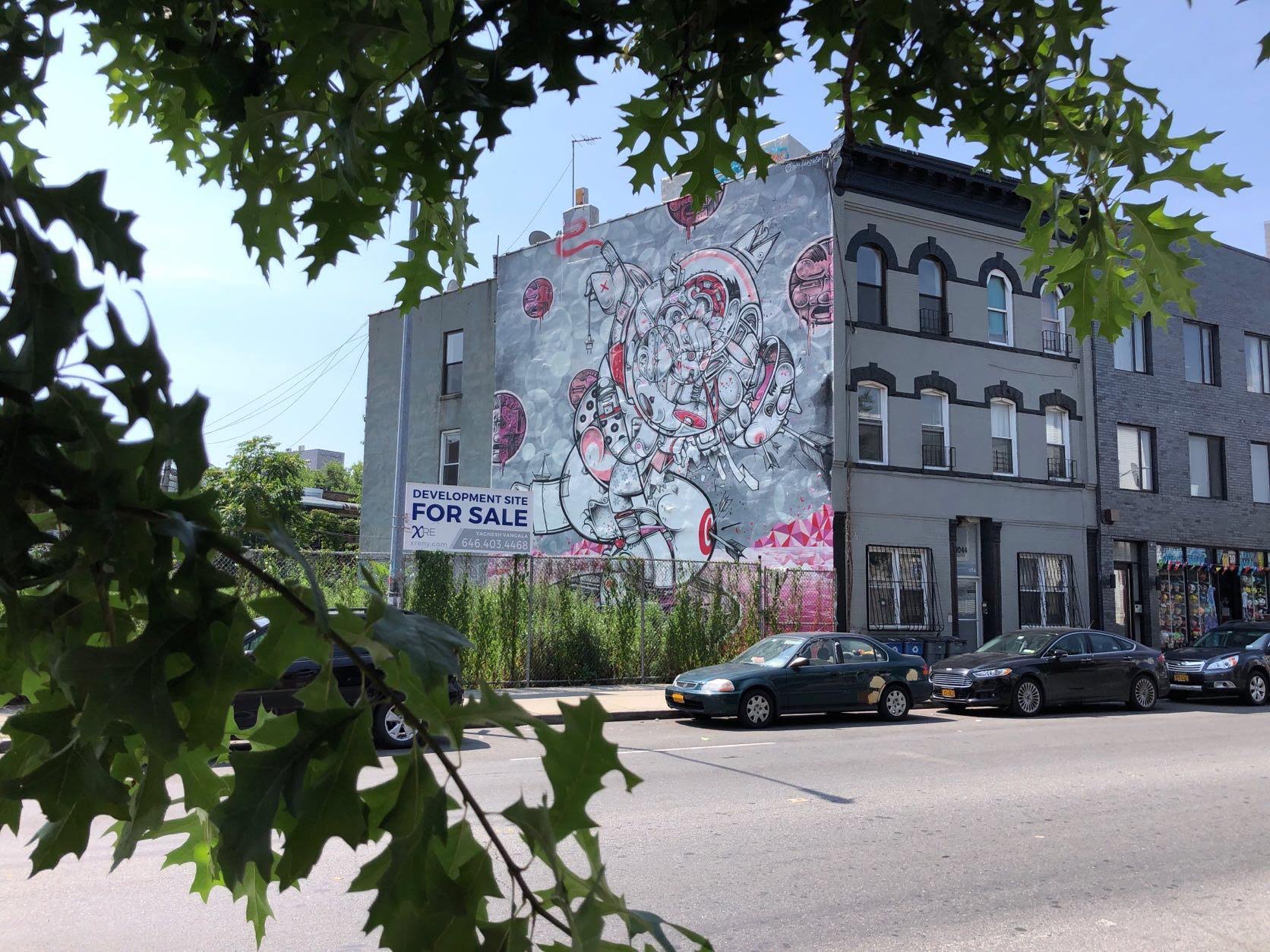 Touren langs street art in Bushwick New York