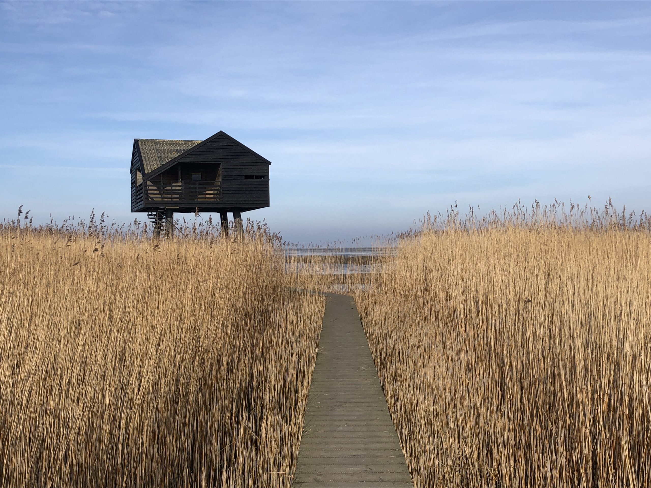 De leukste tips voor het ontdekken van de provincie Groningen