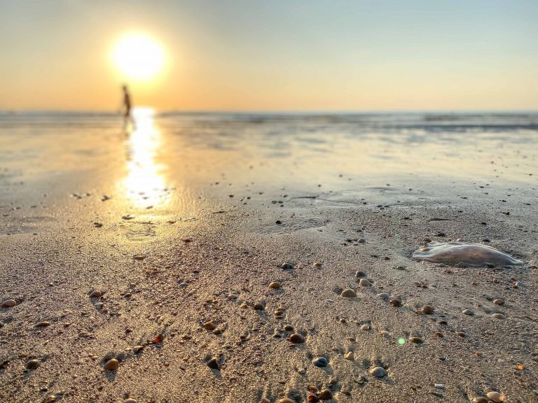 Wat te doen op Walcheren in Zeeland - Your Travel Guide