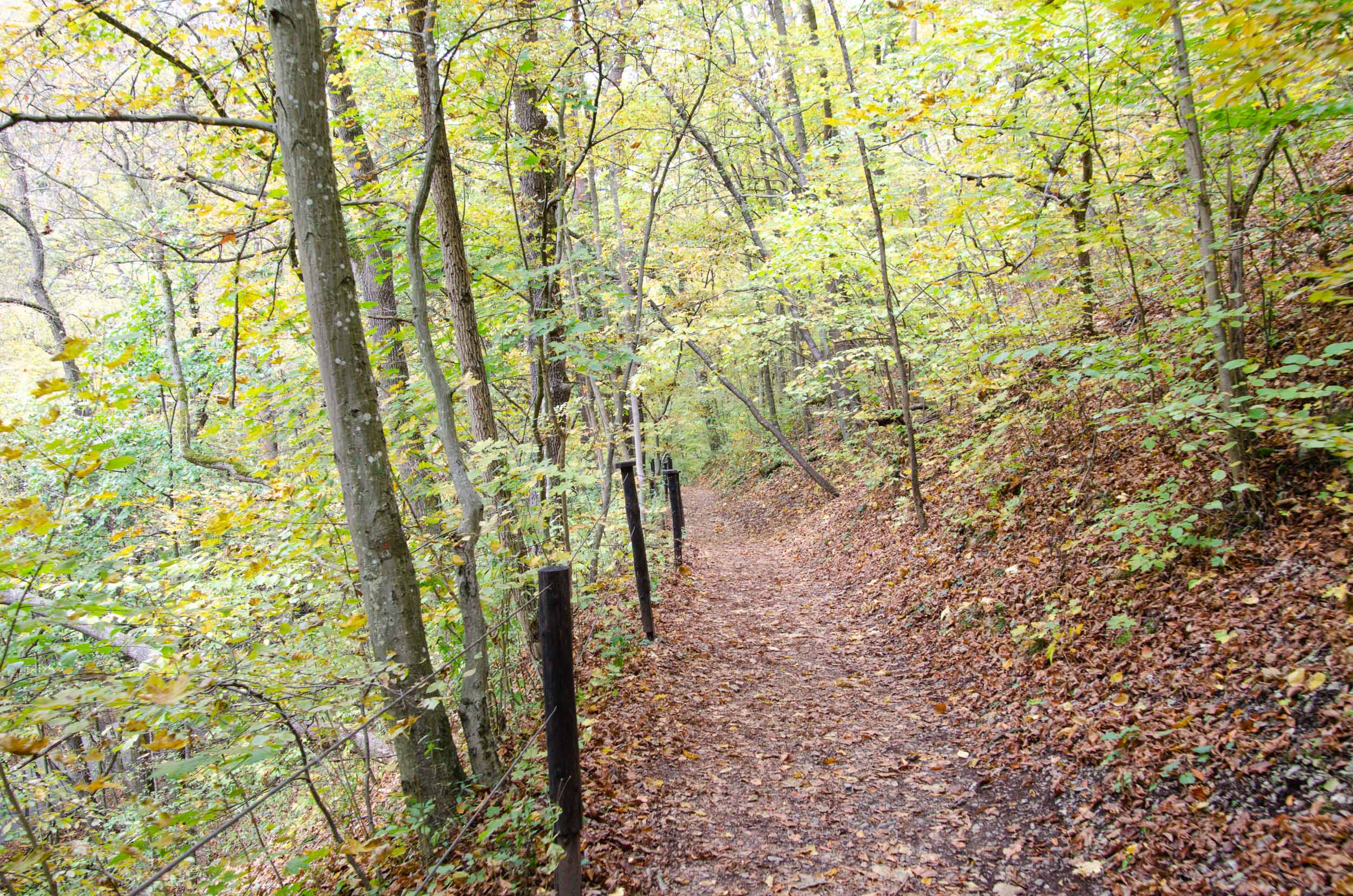 steengroeve Lom Malá Amerika