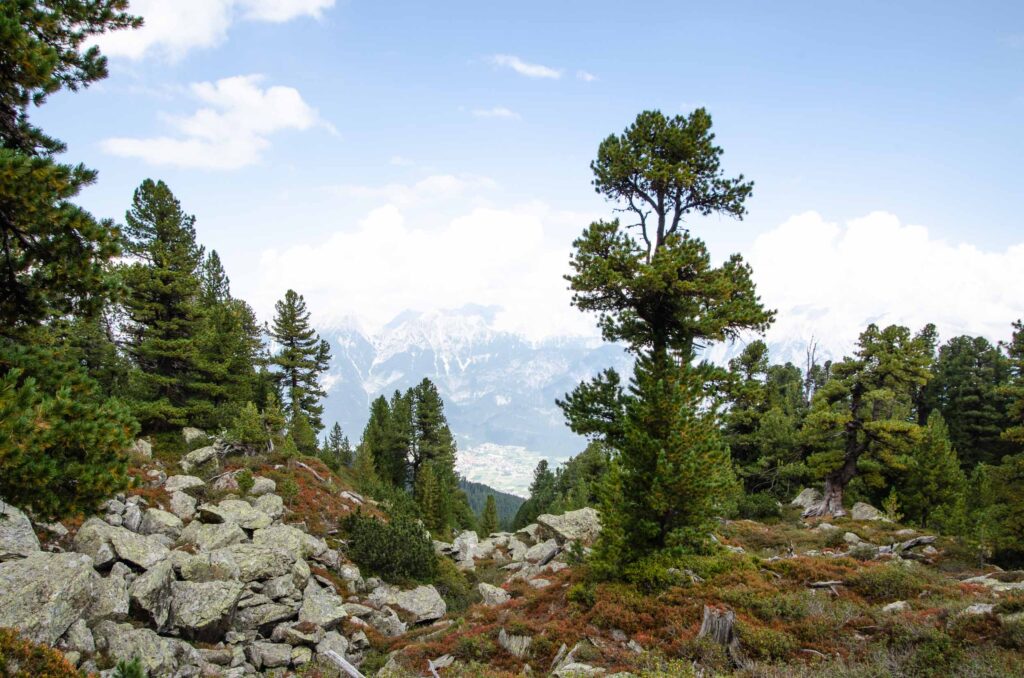 Patscherkoffel Innsbruck