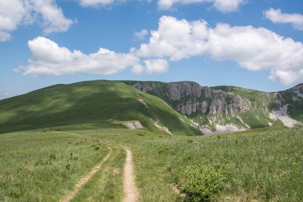 Biogradska National Park