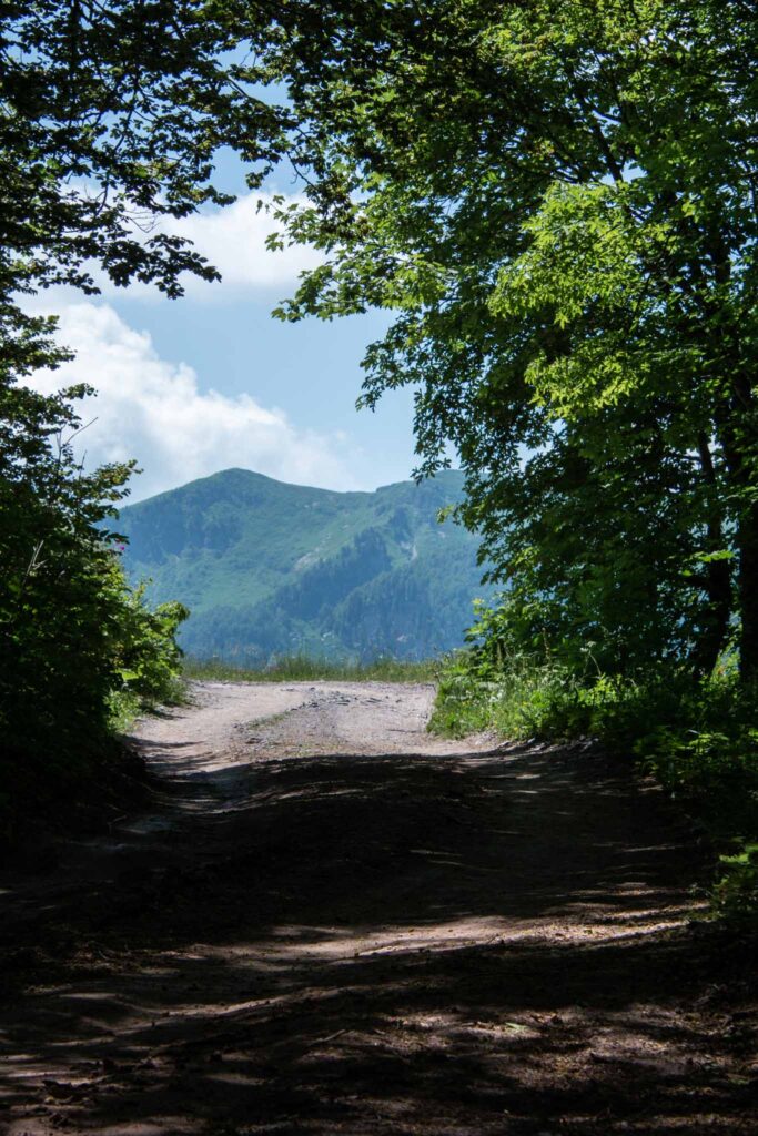 Biogradska National Park