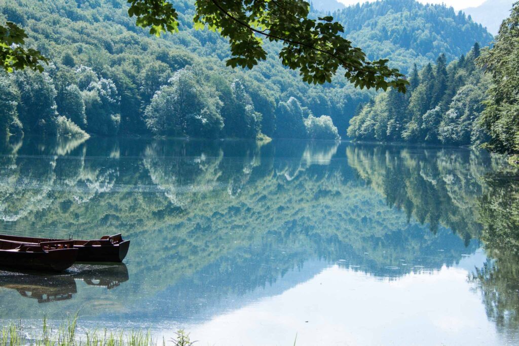 Biogradska National Park