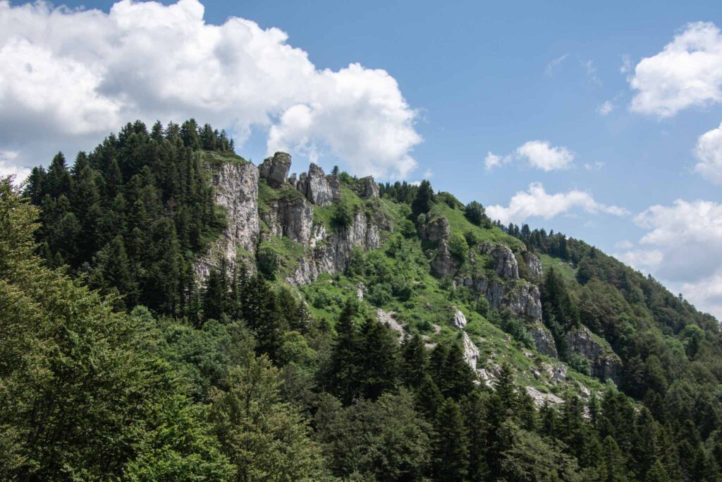 Biogradska National Park