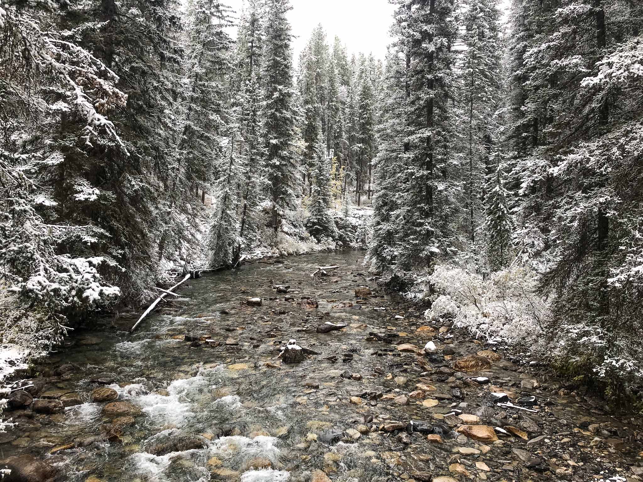 Johnston Canyon