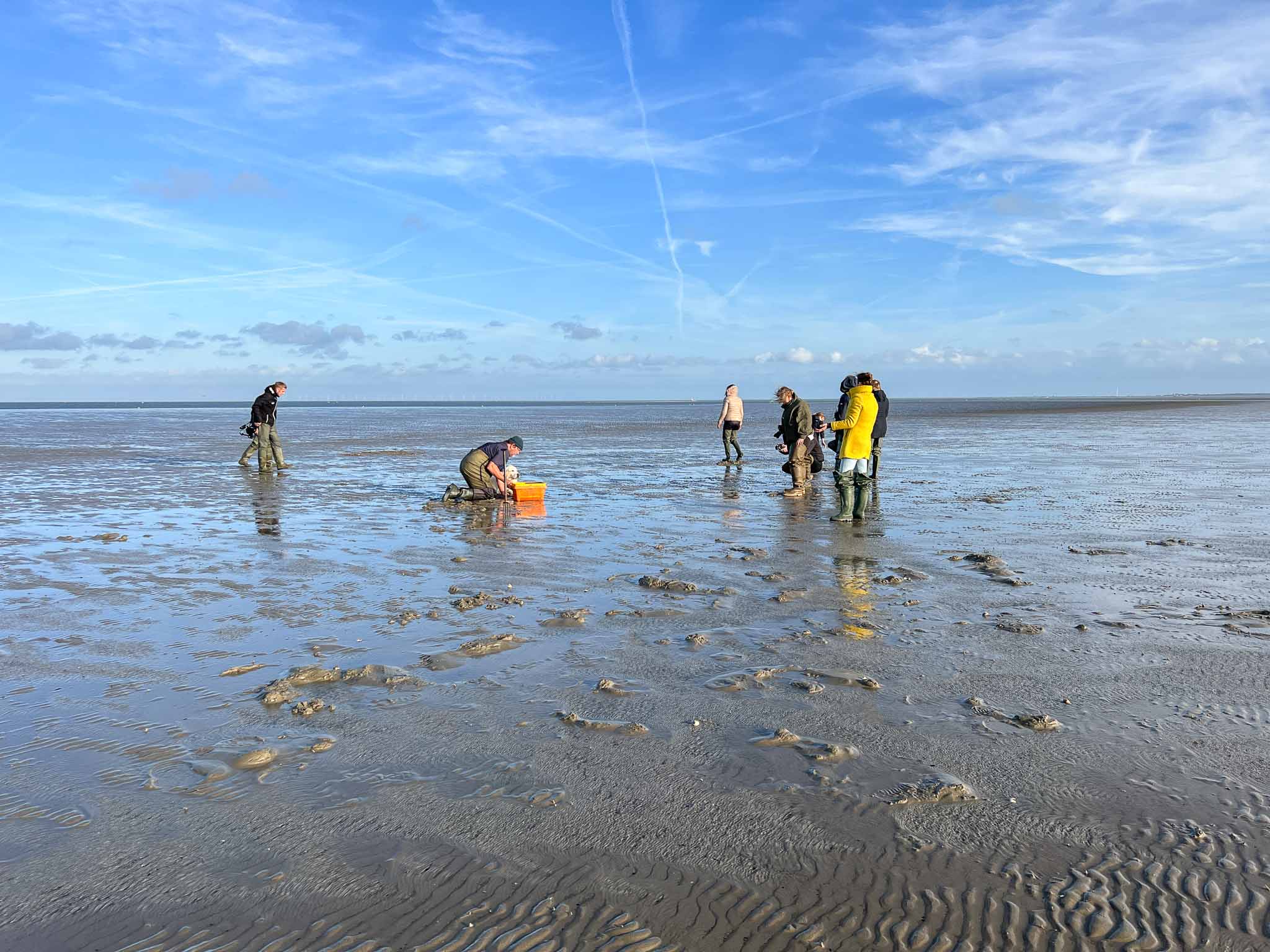 Culinaire Wadden Weken
