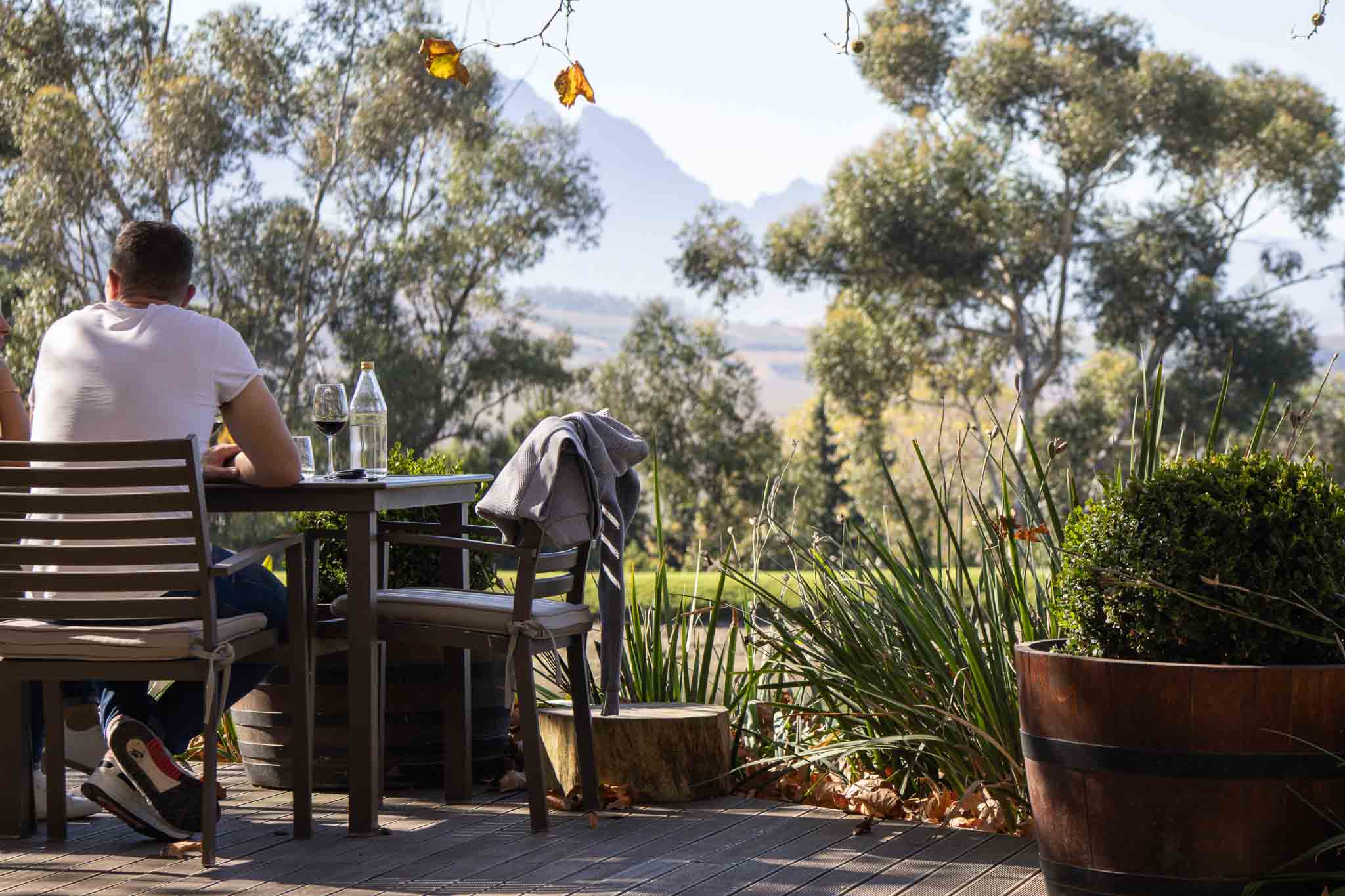 Jordan Wine Estate