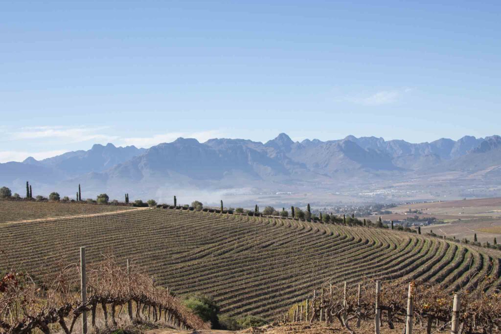 Jordan Wine Estate