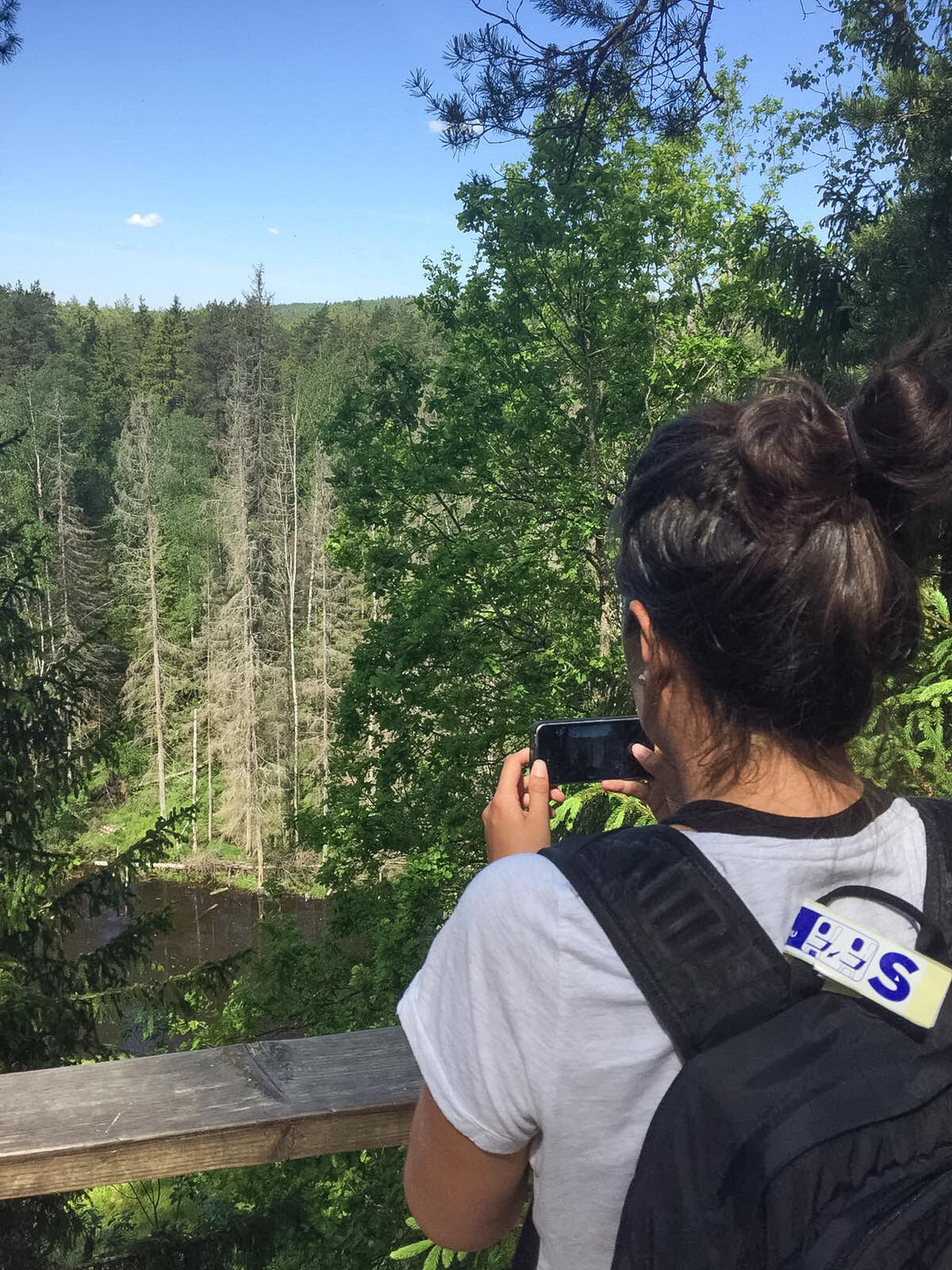 Het Gauja National Park in Letland