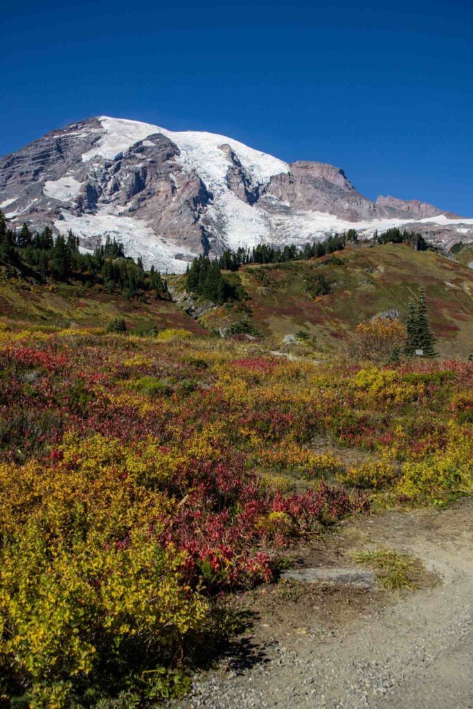 Mount Rainier NP