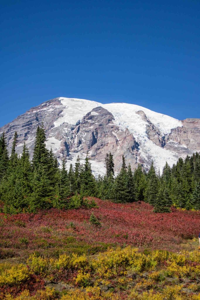Mount Rainier NP 