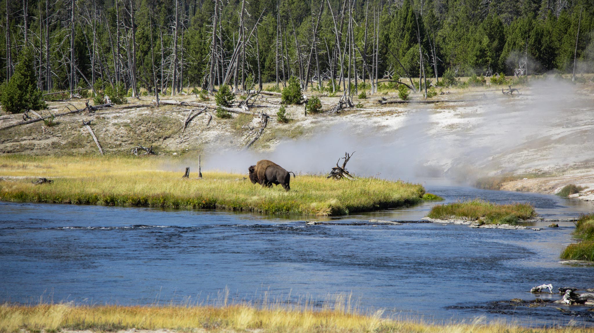 Plannen roadtrip in Amerika