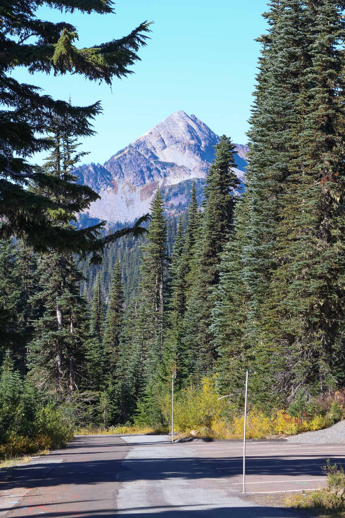  Mount Rainier National Park