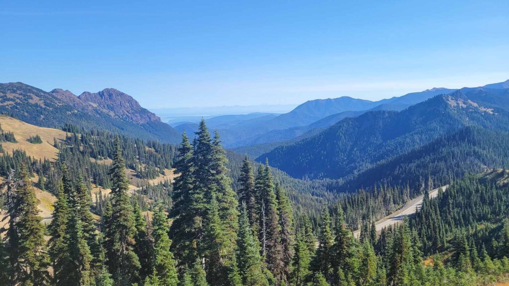 Hurricane Ridge 