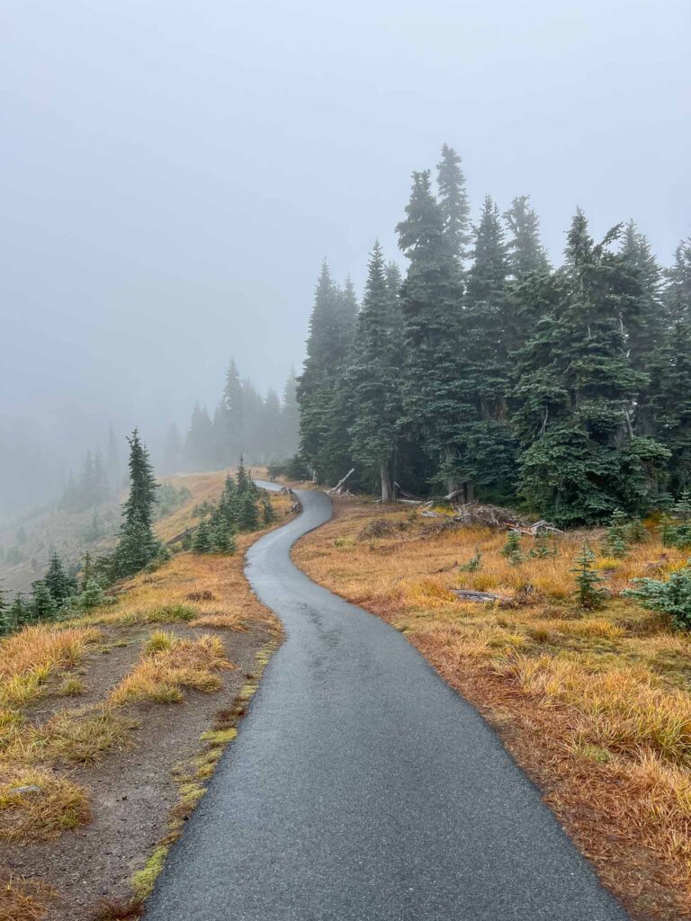 Hurricane Ridge 