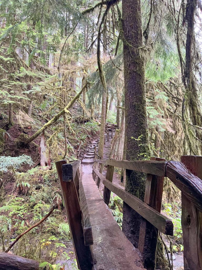 Marymere Falls in Olympic National Park 