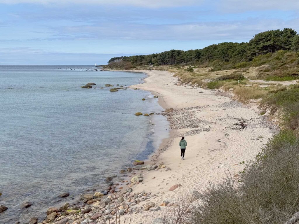 Kultippen Hasle