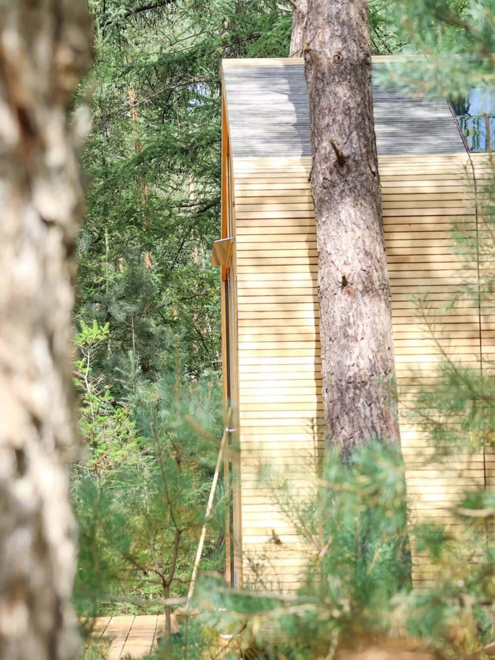 Cabiner – off grid in de Nederlandse wildernis