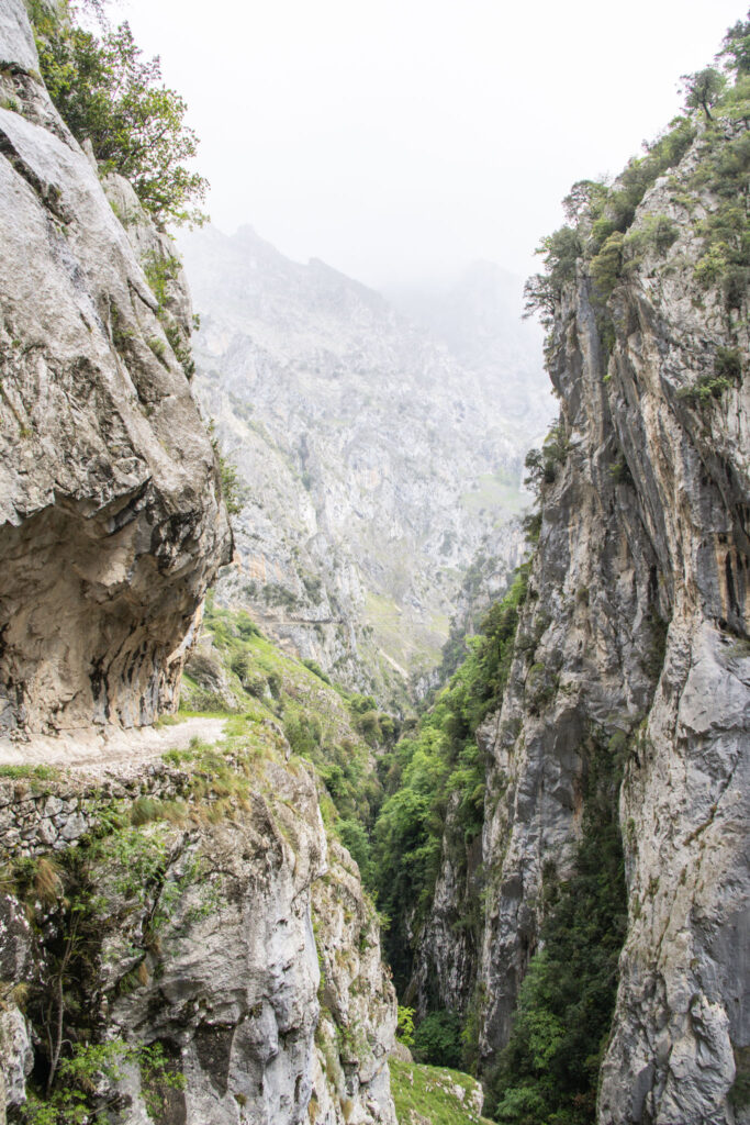 Picos de Europa
