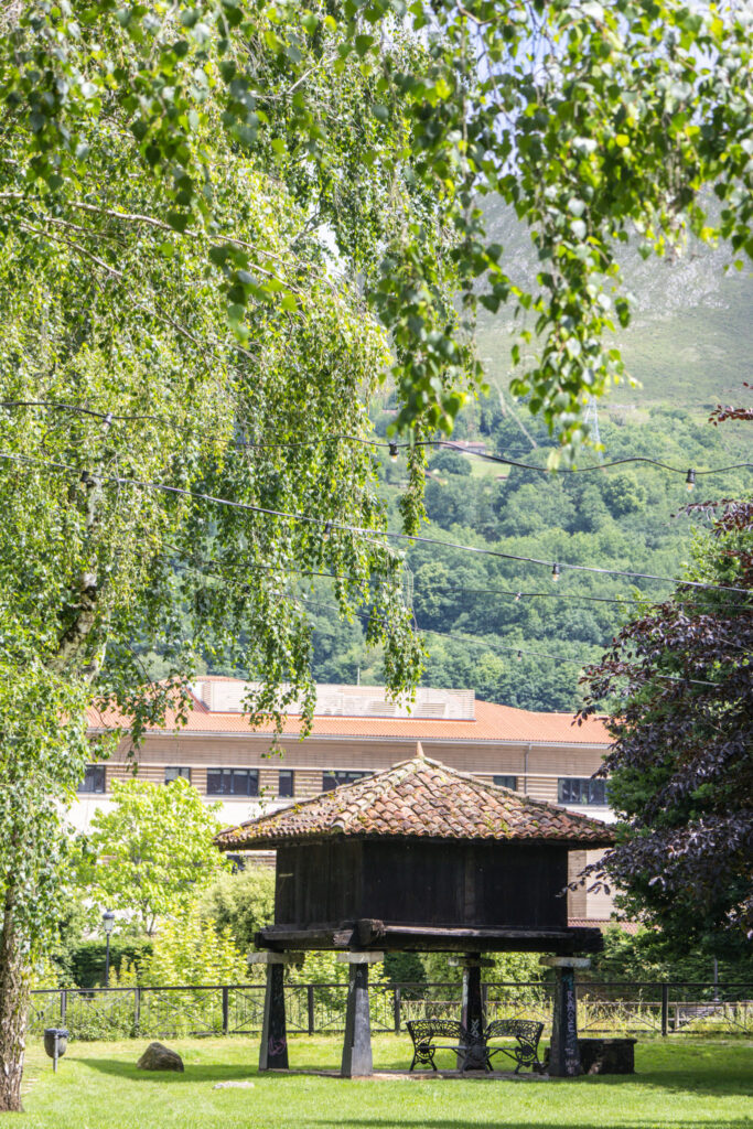 Cangas de Onis